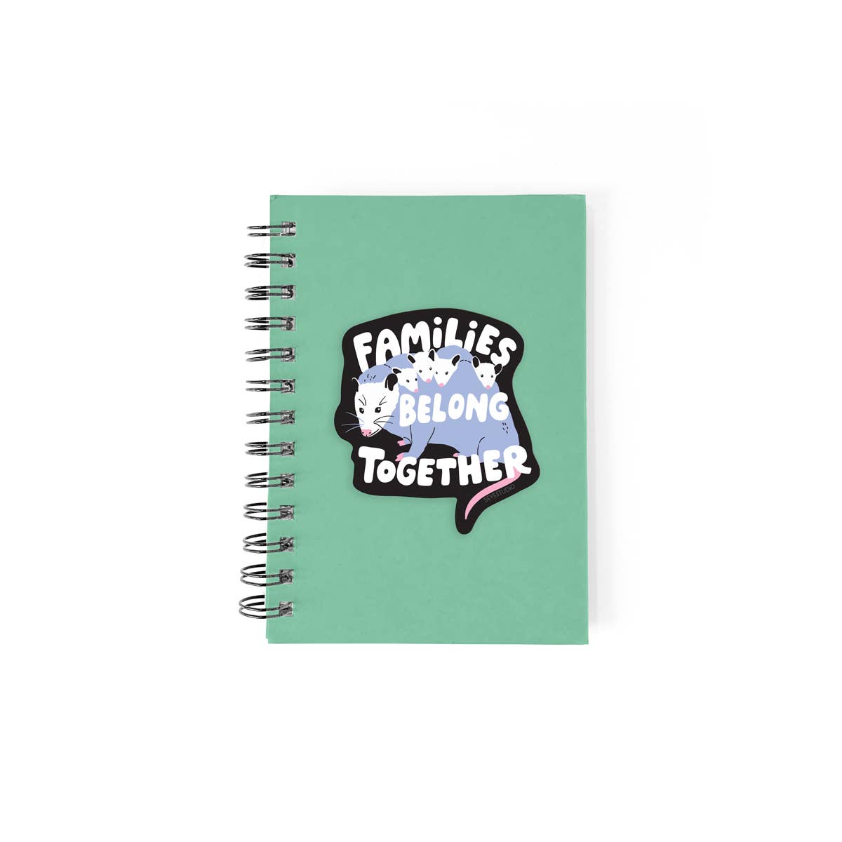 Families Belong Together Opossum Vinyl Sticker