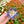 Load image into Gallery viewer, Quilt Hair Claw
