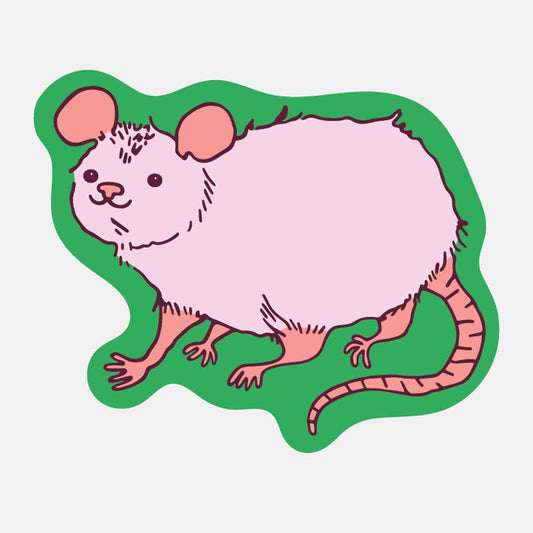 Opossum Sticker