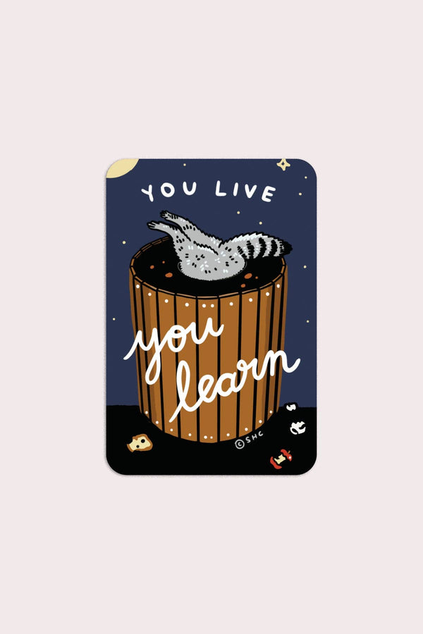 You Live You Learn Vinyl Sticker