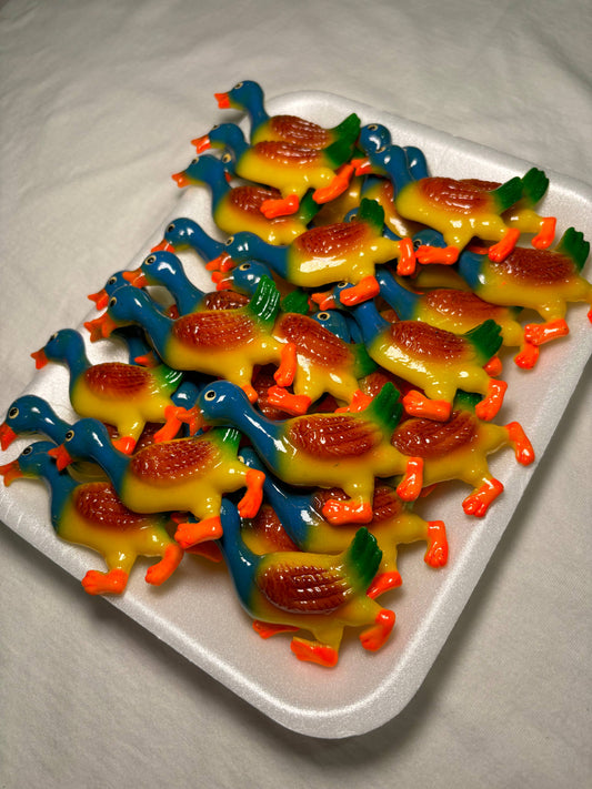 Duck Kitchen Magnet