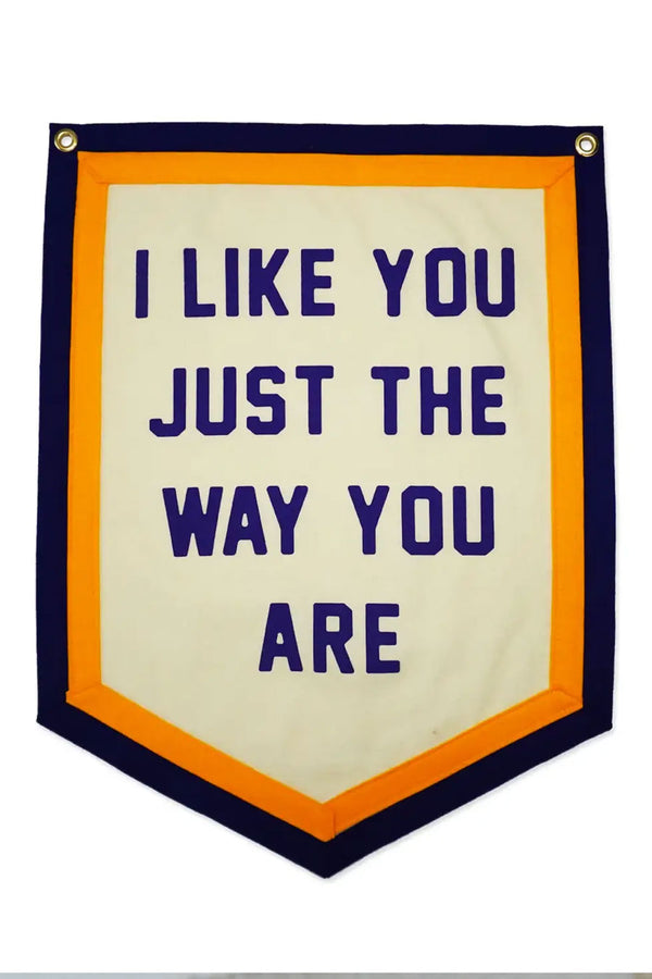 Ivory flag with blue and yellow striped border and two grommets at the top. The flag comes to a point and and says I like you just the way you are in blue letters. White background.