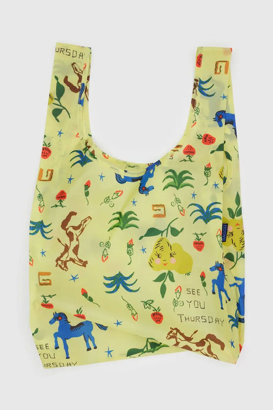 Standard Baggu - Painted Prairie