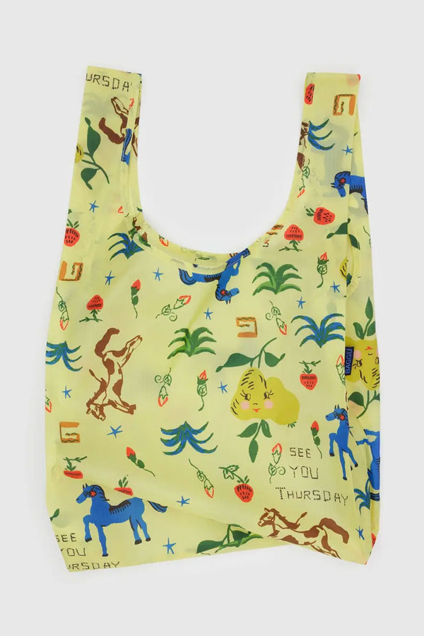 Standard Baggu - Painted Prairie