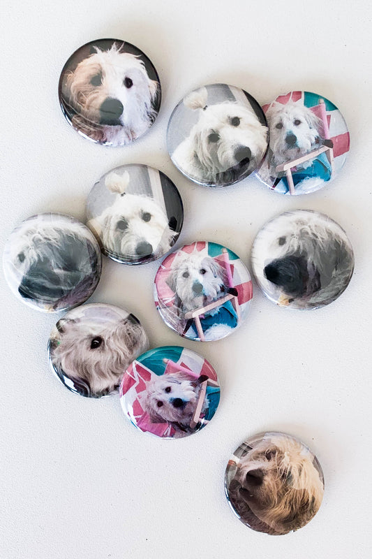 A collage of 10 different pinback buttons featuring photographs of a big fluffy white dog named Maggie.