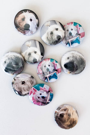 A collage of 10 different pinback buttons featuring photographs of a big fluffy white dog named Maggie.