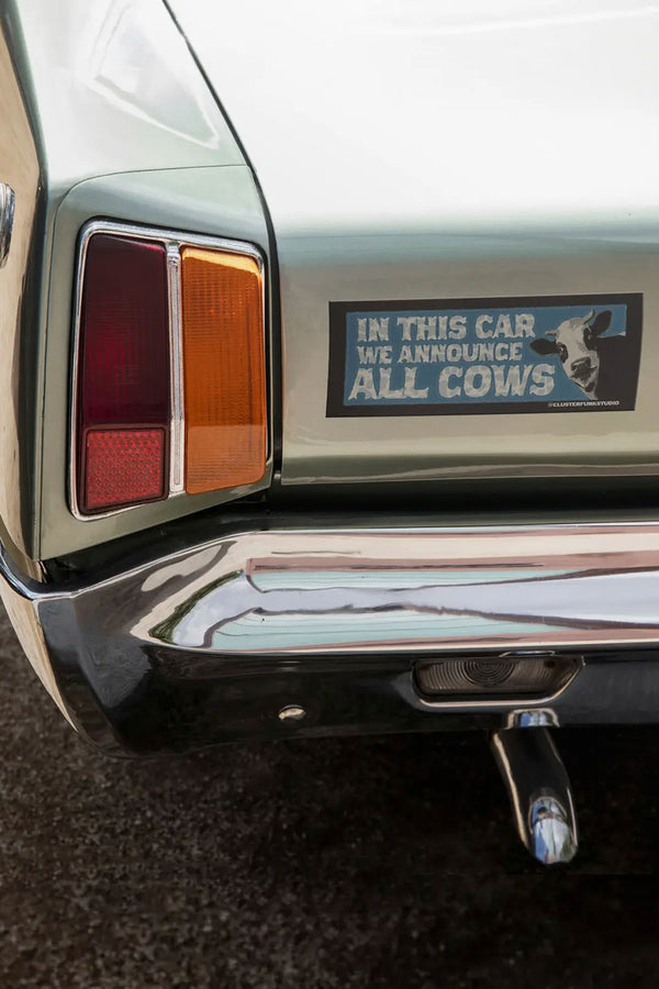 Bumper Sticker with a black border over blue. A black and white cow in the corner with cow printed text in white that says In this car we announce all cows. Sticker is on the back of a car.