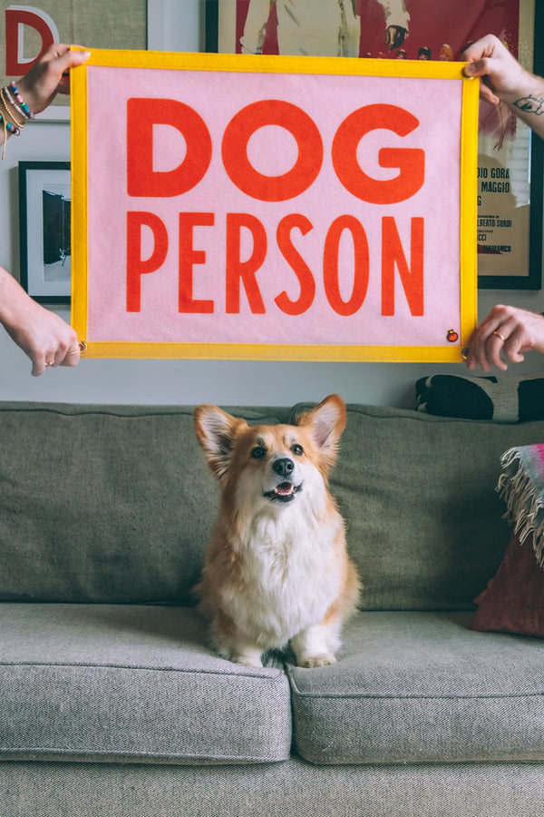 A yellow, pink, and orange felt flag with grommets at all four corners. The text reads "Dog Person" in orange letters. The flag is being held by two people and holding the flag above a Corgi sitting on a gray couch.